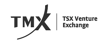 TSX Venture Exchange